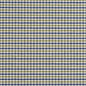 5813 Check & Houndstooth,Small Scale Laguna Check Blue,Green Charlotte Fabrics
