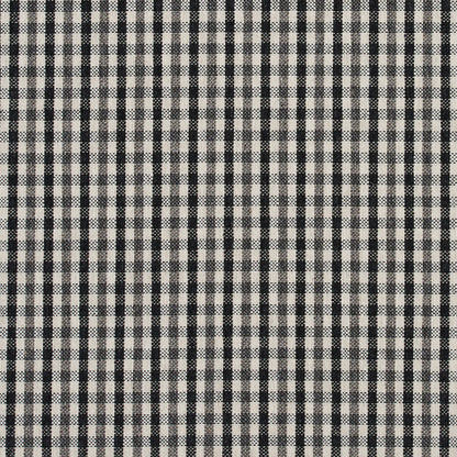 5815 Check & Houndstooth,Small Scale Onyx Check Black Charlotte Fabrics