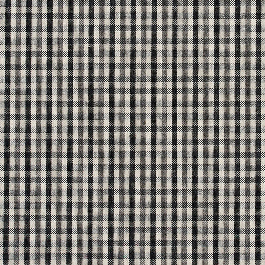 5815 Check & Houndstooth,Small Scale Onyx Check Black Charlotte Fabrics