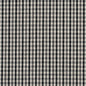 5815 Check & Houndstooth,Small Scale Onyx Check Black Charlotte Fabrics