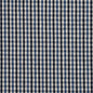5819 Check & Houndstooth,Small Scale Cobalt Check Blue Charlotte Fabrics