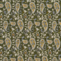 5848 Paisley Spring Paisley Green Charlotte Fabrics