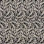 5865 Abstract & Geometric,Leaves Onyx Vine Black Charlotte Fabrics