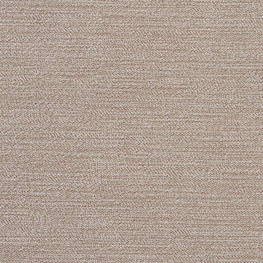 5916 Plain & Solid Almond Beige & Taupe Charlotte Fabrics