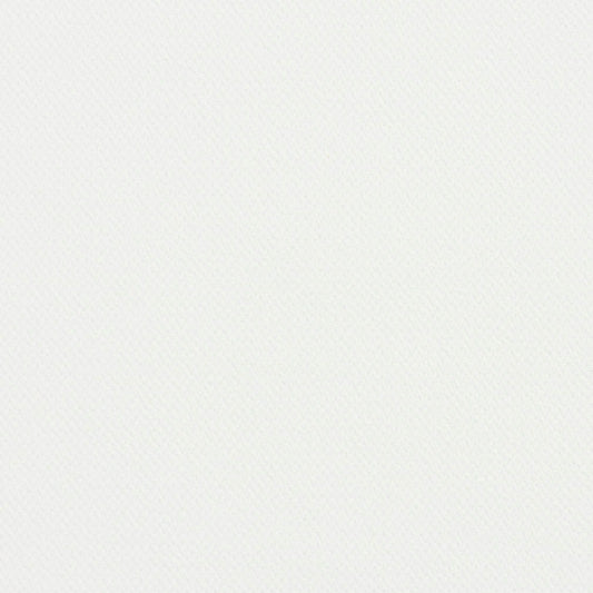 5940 Plain & Solid White White & Ivory Charlotte Fabrics