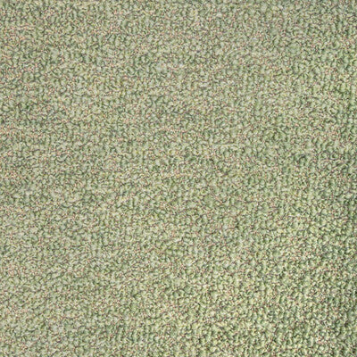6021111-23 FRIZZLE LEEK DONGHIA UPHOLSTERY
