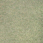 6021111-23 FRIZZLE LEEK DONGHIA UPHOLSTERY