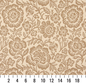 6401 Floral Cream Floral Beige & Taupe Charlotte Fabrics