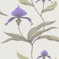 66/4024-CS ORCHID White M Cole & Son Wallpaper