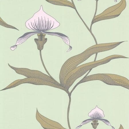 66/4028-CS ORCHID Pale Green Cole & Son Wallpaper