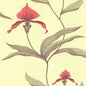 66/4033-CS ORCHID Lime Or Cole & Son Wallpaper