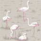 66/6042-CS FLAMINGOS Grey Cole & Son Wallpaper