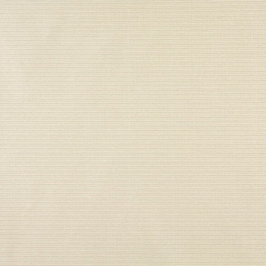 6621 Small Scale,Stripe Ivory White & Ivory Charlotte Fabrics