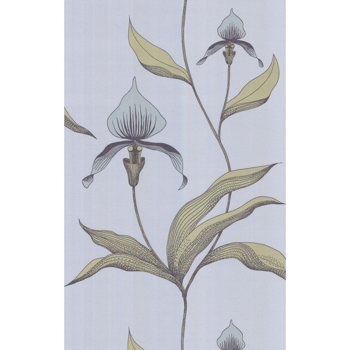 66/4026-CS ORCHID Blue Gr Cole & Son Wallpaper