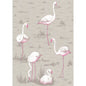 66/6042-CS FLAMINGOS Grey Cole & Son Wallpaper