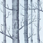 69/12150-CS WOODS Choc Silver Cole & Son Wallpaper