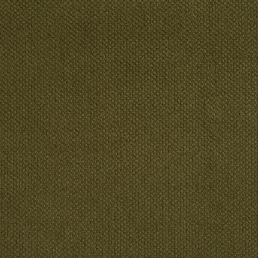 6972 Plain & Solid Sage Green Charlotte Fabrics