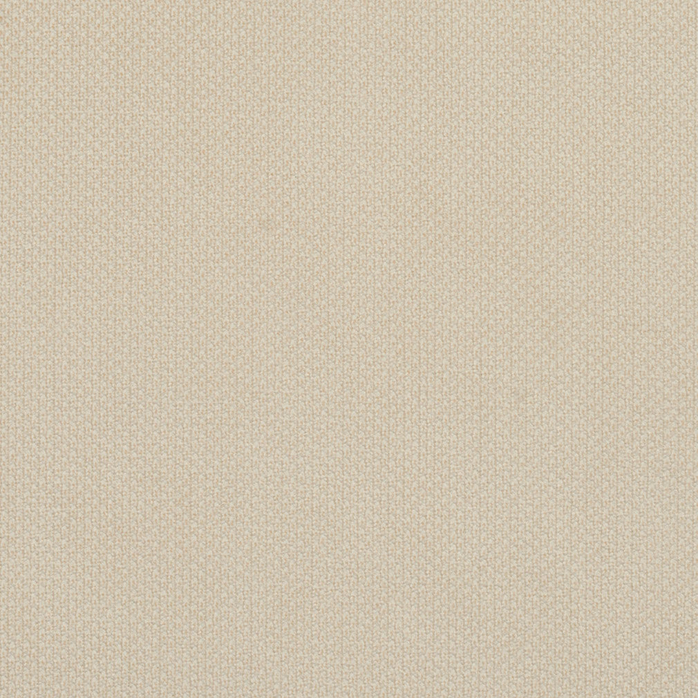 6977 Plain & Solid Ivory White & Ivory Charlotte Fabrics