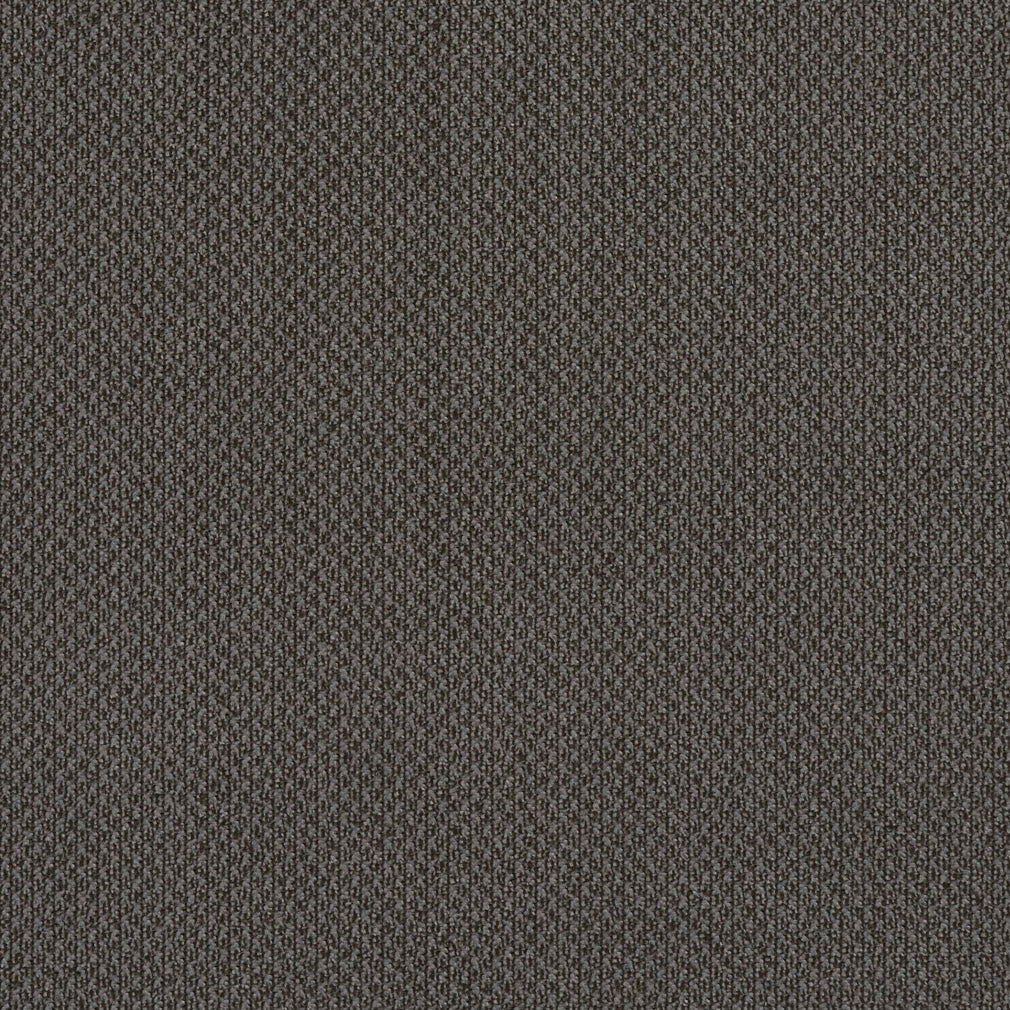 6979 Plain & Solid Slate Grey & Silver Charlotte Fabrics