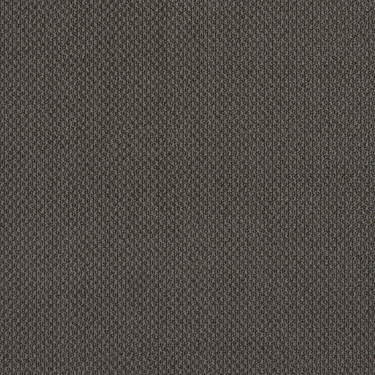 6979 Plain & Solid Slate Grey & Silver Charlotte Fabrics