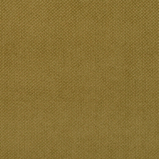 6981 Plain & Solid Fern Green Charlotte Fabrics