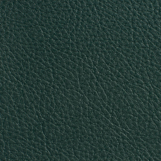 7178 Leather Grain,Plain & Solid Hunter Green Charlotte Fabrics Vinyl
