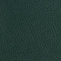 7178 Leather Grain,Plain & Solid Hunter Green Charlotte Fabrics Vinyl