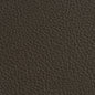 7186 Leather Grain,Plain & Solid Espresso Brown Charlotte Fabrics Vinyl