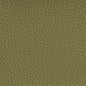 7191 Leather Grain,Plain & Solid Sage Green Charlotte Fabrics Vinyl