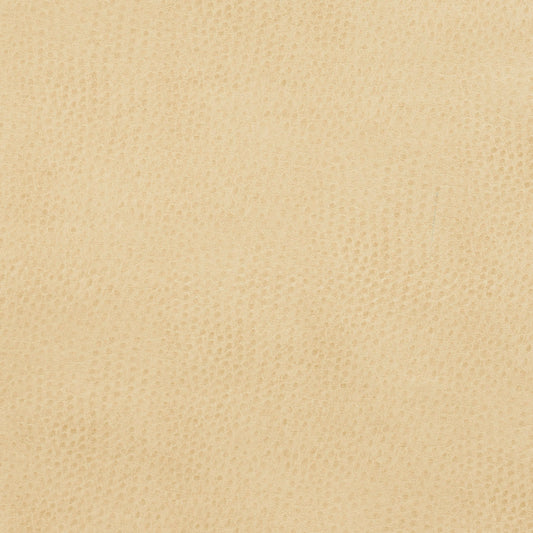 7277 Plain & Solid Parchment Beige & Taupe Charlotte Fabrics Vinyl
