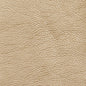 7424 Leather Grain,Plain & Solid Gold & Yellow Charlotte Fabrics Breathables,Metallic,Polyurethane,Vinyl