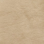7424 Leather Grain,Plain & Solid Gold Gold & Yellow Charlotte Fabrics Vinyl
