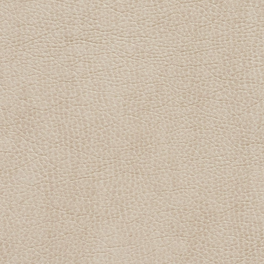 7426 Leather Grain,Plain & Solid Beige & Taupe Charlotte Fabrics Breathables,Polyurethane,Vinyl