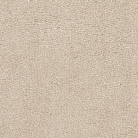 7426 Leather Grain,Plain & Solid Bone Beige & Taupe Charlotte Fabrics Vinyl