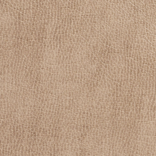 7432 Leather Grain,Plain & Solid Birch Beige & Taupe Charlotte Fabrics Vinyl