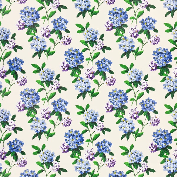 7436 CASHIERS Stout Multi-Purpose