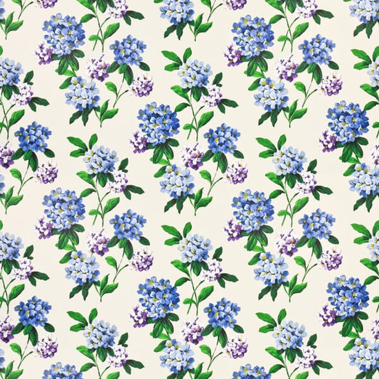 7436 CASHIERS Stout Multi-Purpose