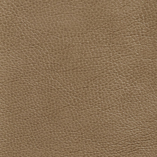 7437 Leather Grain,Plain & Solid Beige & Taupe Charlotte Fabrics Breathables,Polyurethane,Vinyl