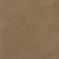 7437 Leather Grain,Plain & Solid Beige & Taupe Charlotte Fabrics Breathables,Polyurethane,Vinyl