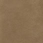 7437 Leather Grain,Plain & Solid Dune Beige & Taupe Charlotte Fabrics Vinyl