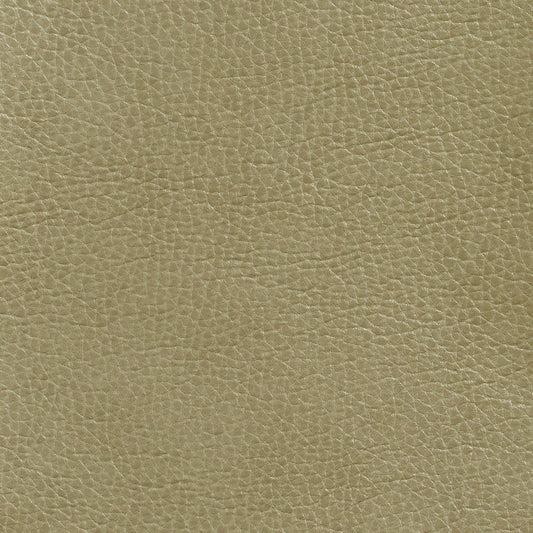 7439 Leather Grain,Plain & Solid Green Charlotte Fabrics Breathables,Polyurethane,Vinyl
