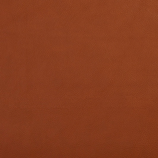7443 Leather Grain,Plain & Solid Palomino Brown Charlotte Fabrics Vinyl