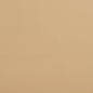 7457 Leather Grain,Plain & Solid Dune Beige & Taupe Charlotte Fabrics Vinyl
