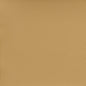 7597 Leather Grain,Plain & Solid Buckskin Beige & Taupe Charlotte Fabrics Vinyl