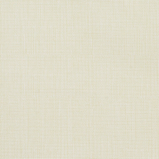 7610 Plain & Solid Beige & Taupe Charlotte Fabrics Vinyl