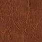7613 Leather Grain,Plain & Solid Brown Charlotte Fabrics Vinyl