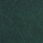 7619 Leather Grain,Plain & Solid Green Charlotte Fabrics Vinyl
