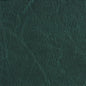 7619 Leather Grain,Plain & Solid Forest Green Charlotte Fabrics Vinyl