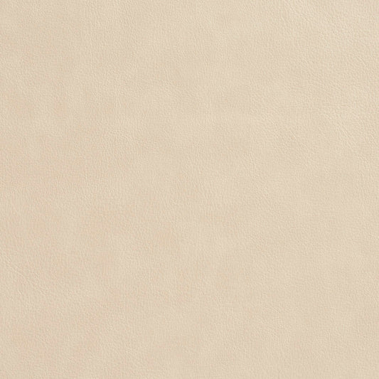 7640 Leather Grain,Plain & Solid Beige & Taupe Charlotte Fabrics Polyurethane,Recycled Leather,Vinyl