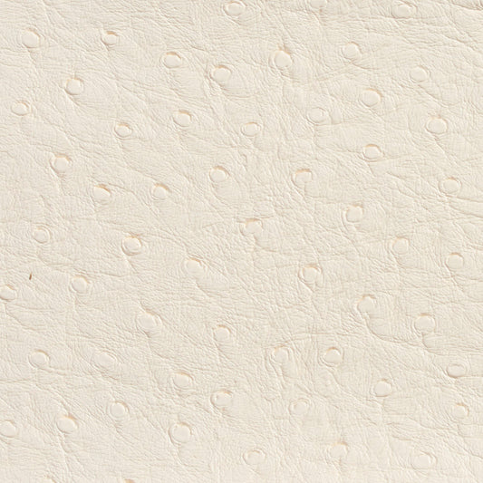 7704 Animal Print,Plain & Solid Eggshell White & Ivory Charlotte Fabrics Vinyl